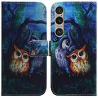 For Sony Xperia 1 VI Coloured Drawing Flip Leather Phone Case(Oil Painting Owl) - 1