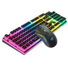 HXSJ L96 2.4G Wireless RGB Backlit Keyboard and Mouse Set 104 Pudding Key Caps + 4800DPI Mouse(Black) - 1