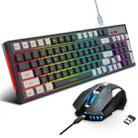 HXSJ L98 2.4G Wireless RGB Keyboard and Mouse Set 104 Keys + 1600DPI Mouse(Black) - 1