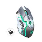 HXSJ T30 2400DPI RGB 2.4GHz Wireless Mouse(Metallic Grey) - 1