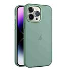 For iPhone 15 Pro Frosted Translucent Mist Phone Case(Green) - 1