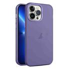 For iPhone 13 Pro Max Frosted Translucent Mist Phone Case(Dark Purple) - 1