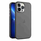 For iPhone 13 Pro Max Frosted Translucent Mist Phone Case(Black) - 1