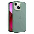 For iPhone 13 Frosted Translucent Mist Phone Case(Green) - 1