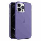 For iPhone 12 Pro Max Frosted Translucent Mist Phone Case(Dark Purple) - 1