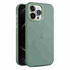 For iPhone 12 Pro Max Frosted Translucent Mist Phone Case(Green) - 1