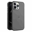 For iPhone 12 Pro Max Frosted Translucent Mist Phone Case(Black) - 1