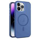 For iPhone 15 Pro Max MagSafe Frosted Translucent Mist Phone Case(Royal Blue) - 1