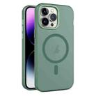 For iPhone 15 Pro Max MagSafe Frosted Translucent Mist Phone Case(Green) - 1