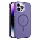 For iPhone 15 Pro MagSafe Frosted Translucent Mist Phone Case(Dark Purple) - 1