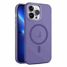 For iPhone 13 Pro MagSafe Frosted Translucent Mist Phone Case(Dark Purple) - 1