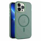 For iPhone 13 Pro MagSafe Frosted Translucent Mist Phone Case(Green) - 1