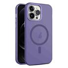 For iPhone 12 Pro Max MagSafe Frosted Translucent Mist Phone Case(Dark Purple) - 1