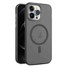 For iPhone 12 Pro Max MagSafe Frosted Translucent Mist Phone Case(Black) - 1