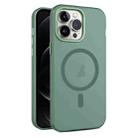 For iPhone 12 Pro MagSafe Frosted Translucent Mist Phone Case(Green) - 1