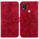 For Nokia C21 Plus Lily Embossed Leather Phone Case(Red) - 1