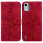 For Nokia C12 Lily Embossed Leather Phone Case(Red) - 1