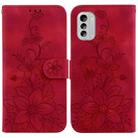 For Nokia G60 Lily Embossed Leather Phone Case(Red) - 1