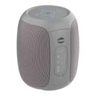 Zealot S53 IPX6 Waterproof Portable Colorful Wireless Bluetooth Speaker(Grey) - 1