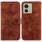 For Motorola Edge 40 Lily Embossed Leather Phone Case(Brown) - 1