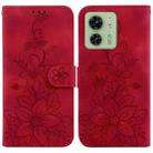 For Motorola Edge 40 Lily Embossed Leather Phone Case(Red) - 1