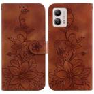 For Motorola Moto G13 / G23 / G53 Lily Embossed Leather Phone Case(Brown) - 1