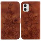 For Motorola Moto G73 Lily Embossed Leather Phone Case(Brown) - 1