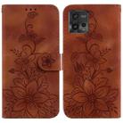 For Motorola Moto G72 Lily Embossed Leather Phone Case(Brown) - 1