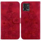 For Motorola Moto G72 Lily Embossed Leather Phone Case(Red) - 1