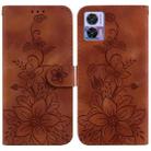 For Motorola Edge 30 Neo / Edge 30 Lite Lily Embossed Leather Phone Case(Brown) - 1