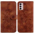 For Motorola Moto G42 Lily Embossed Leather Phone Case(Brown) - 1