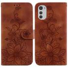 For Motorola Moto E32 Lily Embossed Leather Phone Case(Brown) - 1