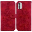 For Motorola Moto E32 Lily Embossed Leather Phone Case(Red) - 1