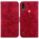 For Motorola Moto E7 Power / E7i Power Lily Embossed Leather Phone Case(Red) - 1