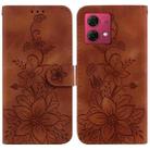 For Motorola Moto G84 Lily Embossed Leather Phone Case(Brown) - 1