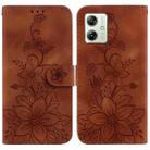 For Motorola Moto G54 Lily Embossed Leather Phone Case(Brown) - 1