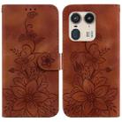 For Motorola Edge 50 Ultra Lily Embossed Leather Phone Case(Brown) - 1