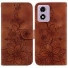 For Motorola Moto G04s / Moto E14 Lily Embossed Leather Phone Case(Brown) - 1