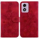 For Motorola Moto G04s / Moto E14 Lily Embossed Leather Phone Case(Red) - 1