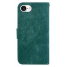 For iPhone SE 2024 Little Tiger Embossed Leather Phone Case(Green) - 3