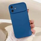 For iPhone 12 Large Window Frosted TPU Phone Case(Blue) - 1