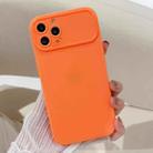 For iPhone 11 Pro Max Large Window Frosted TPU Phone Case(Orange) - 1