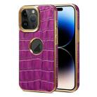 For iPhone 15 Pro Max Denior Crocodile Texture Genuine Leather Electroplating Phone Case(Purple) - 1