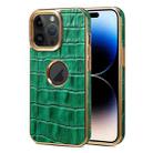For iPhone 15 Pro Max Denior Crocodile Texture Genuine Leather Electroplating Phone Case(Green) - 1