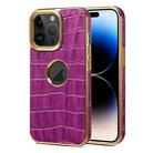 For iPhone 14 Pro Denior Crocodile Texture Genuine Leather Electroplating Phone Case(Purple) - 1