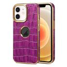 For iPhone 12 / 12 Pro Denior Crocodile Texture Genuine Leather Electroplating Phone Case(Purple) - 1