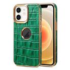 For iPhone 12 / 12 Pro Denior Crocodile Texture Genuine Leather Electroplating Phone Case(Green) - 1
