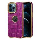 For iPhone 12 Pro Max Denior Crocodile Texture Genuine Leather Electroplating Phone Case(Purple) - 1