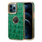 For iPhone 12 Pro Max Denior Crocodile Texture Genuine Leather Electroplating Phone Case(Green) - 1