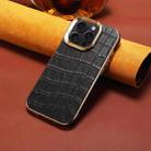 For iPhone 16 Pro Max Denior Crocodile Texture Genuine Leather Electroplating Phone Case(Black) - 2